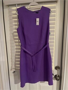 Ann Taylor Violet Sleeveless Belted Shift Dress